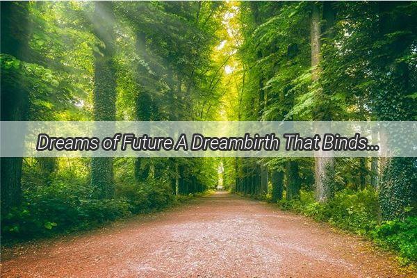 Dreams of Future A Dreambirth That Binds Hearts Across Realms